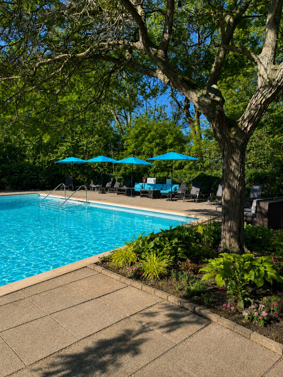 Poolside at Island Yacht Club with blue umbrellas