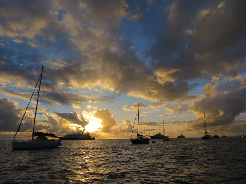 telltales_1st_edition_member_1